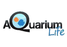 Aquarium Life