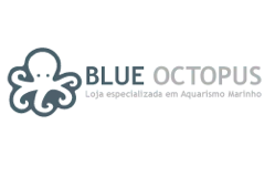 Blue Octopus