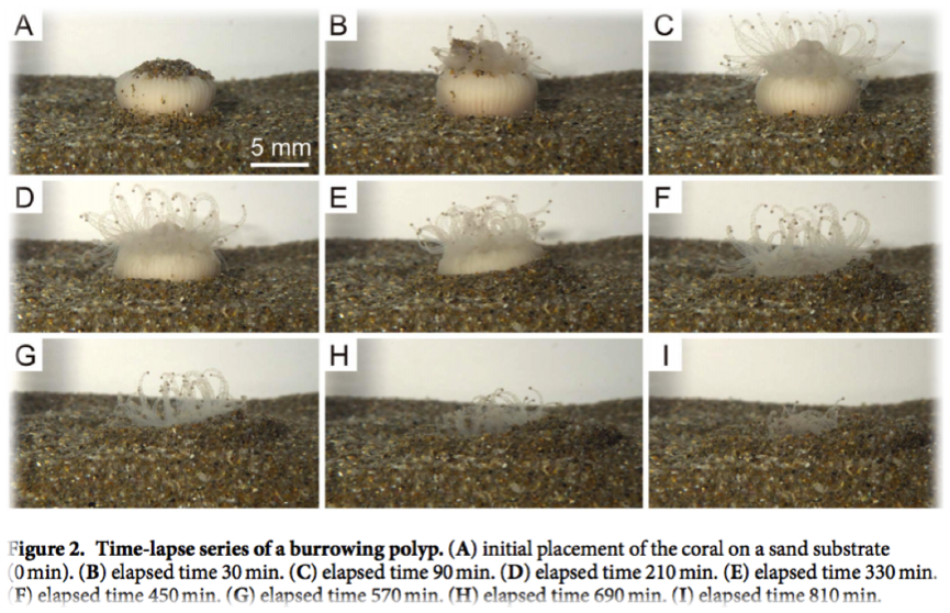 (Sentoku et al., 2016 – Scientific Reports)