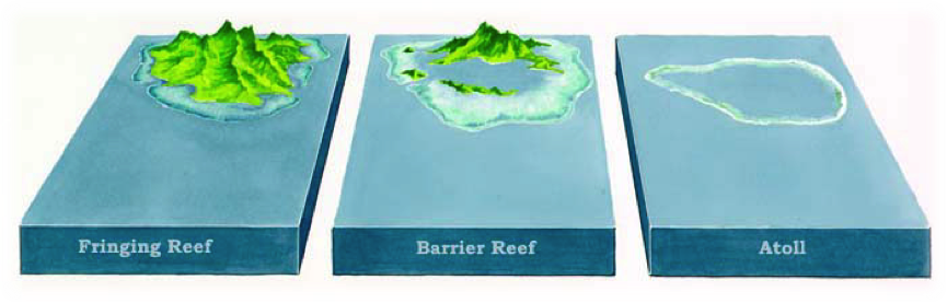 http://www.marinebio.net/marinescience/04benthon/crform.htm